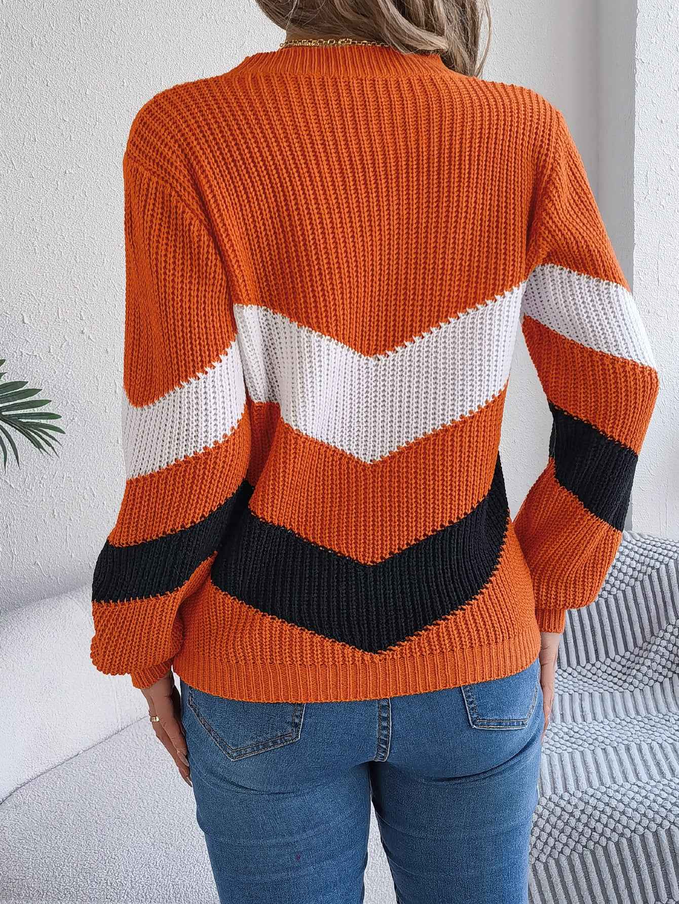 Sarah Express Women's Color Block Lantern Sleeve Pullover Sweater - Casual Knitwear