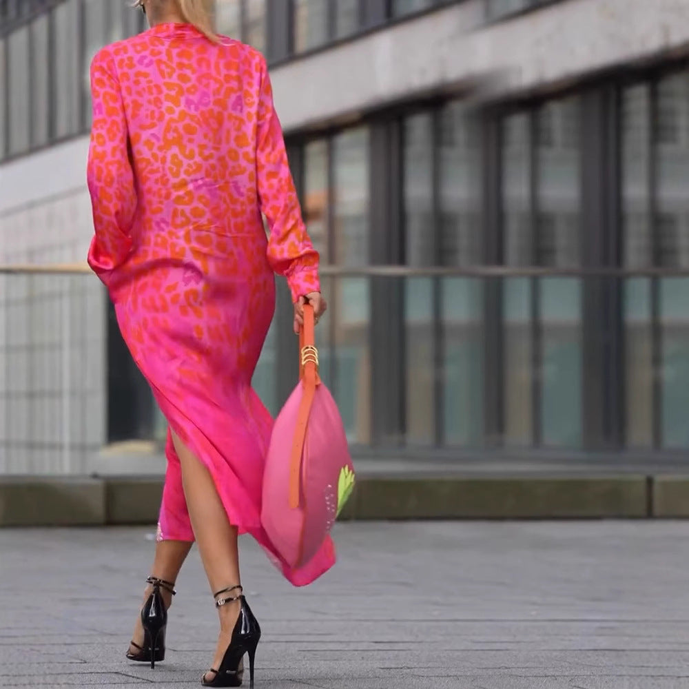 Women's Leopard Print V-Neck Long Sleeve Dress with Pockets