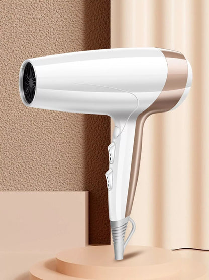 Sarah Express Professional Ionic Hair Dryer - High Power Constant Temperature Blow Dryer for Fast Drying White