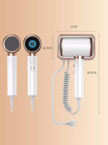 Sarah Express Constant Temperature Hair Dryer - Professional Household Blow Dryer with Heat Control