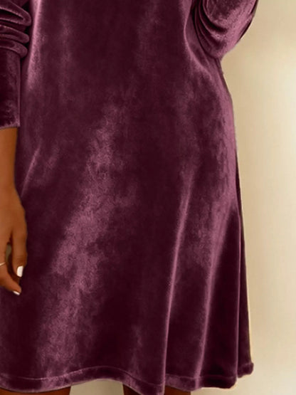 Sarah Express Women's Velvet Cowl Neck Long Sleeve Mini Dress