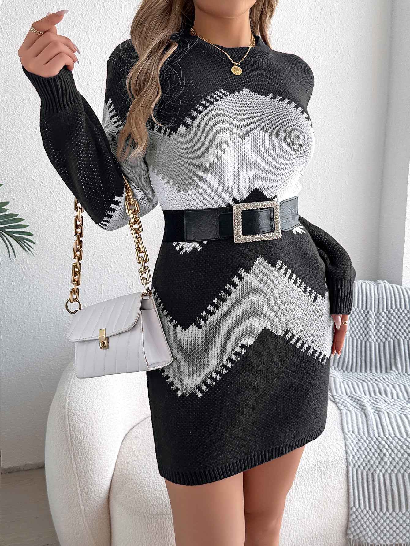 Sarah Express Women's Color Block Lantern Sleeve Sweater Dress