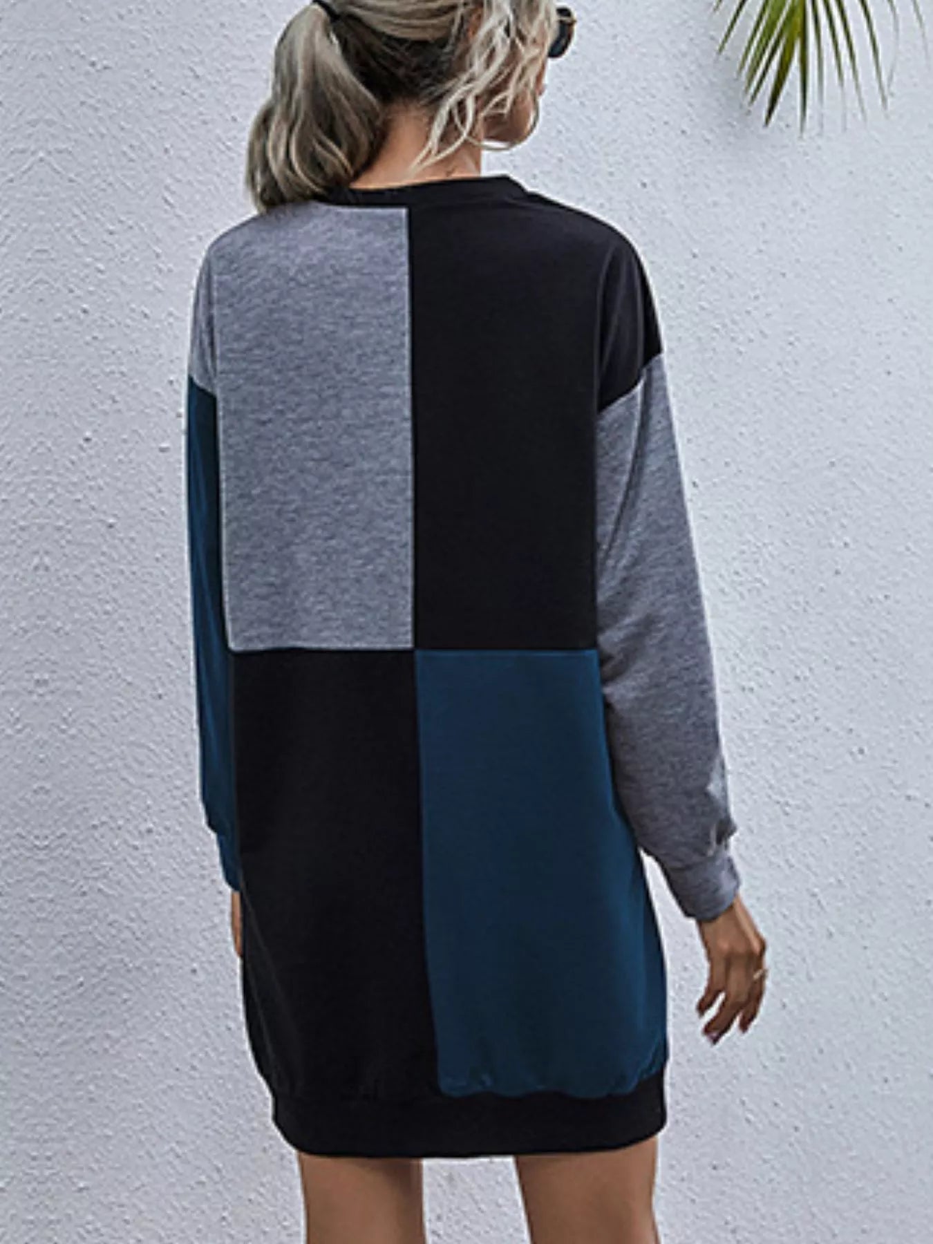 Sarah Express Women's Color Block Casual Long Sleeve Mini Dress