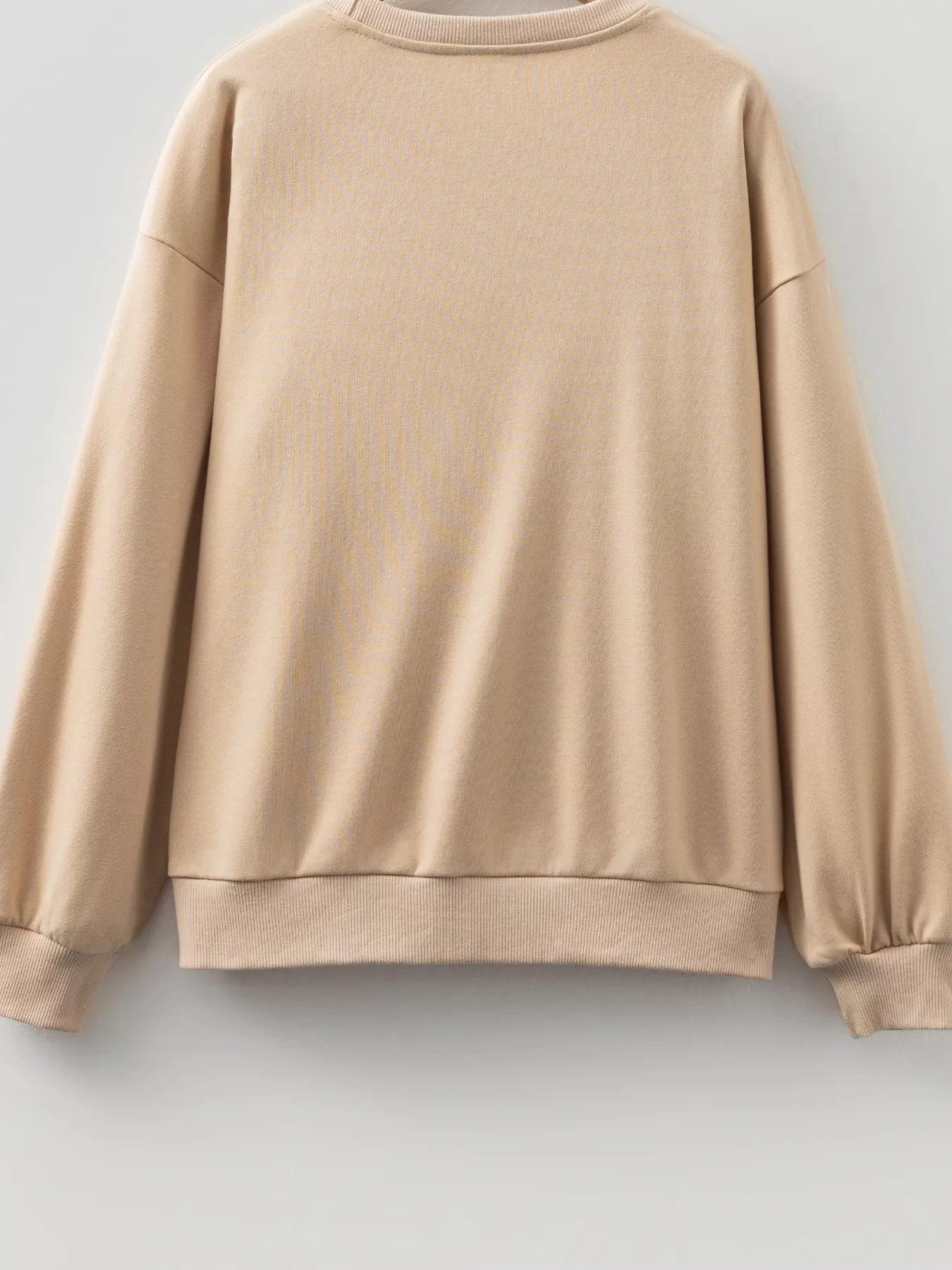 Sarah Express Women's Embroidered Floral Drop Shoulder Sweatshirt - Beige Crewneck Pullover