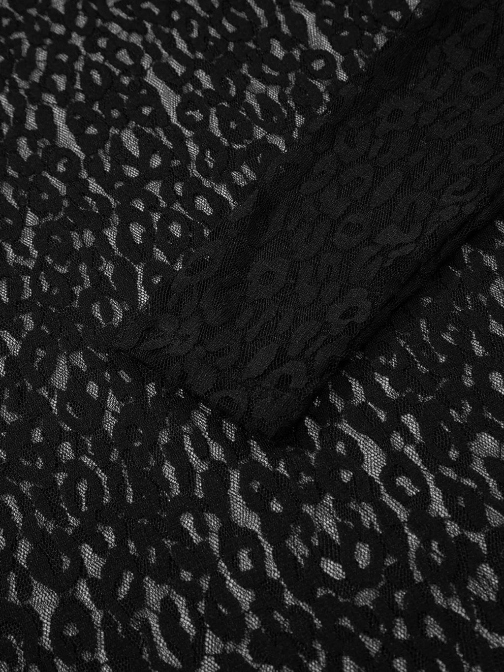 Sarah Express Women's Leopard Pattern Sheer Mesh Long Sleeve Top