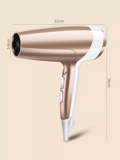 Sarah Express Professional Ionic Hair Dryer - High Power Constant Temperature Blow Dryer for Fast Drying