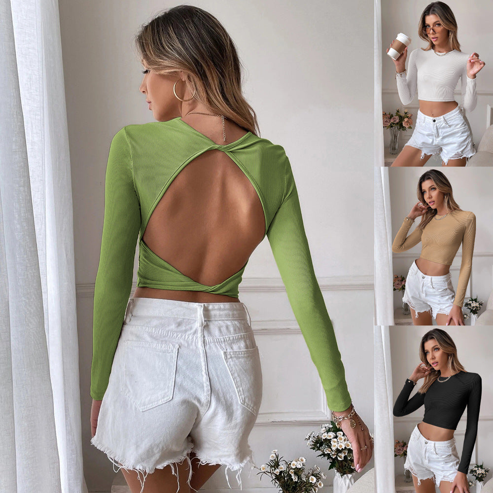 Sarah Express Cropped Slim Fit Knit Long Sleeve Top Round Neck