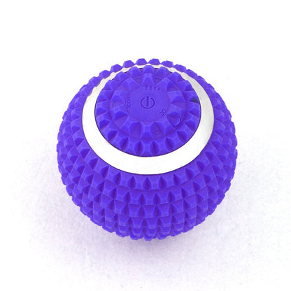 Sarah Express Vibrating Massage Ball - 4-Speed Electric Muscle Recovery Therapy Ball