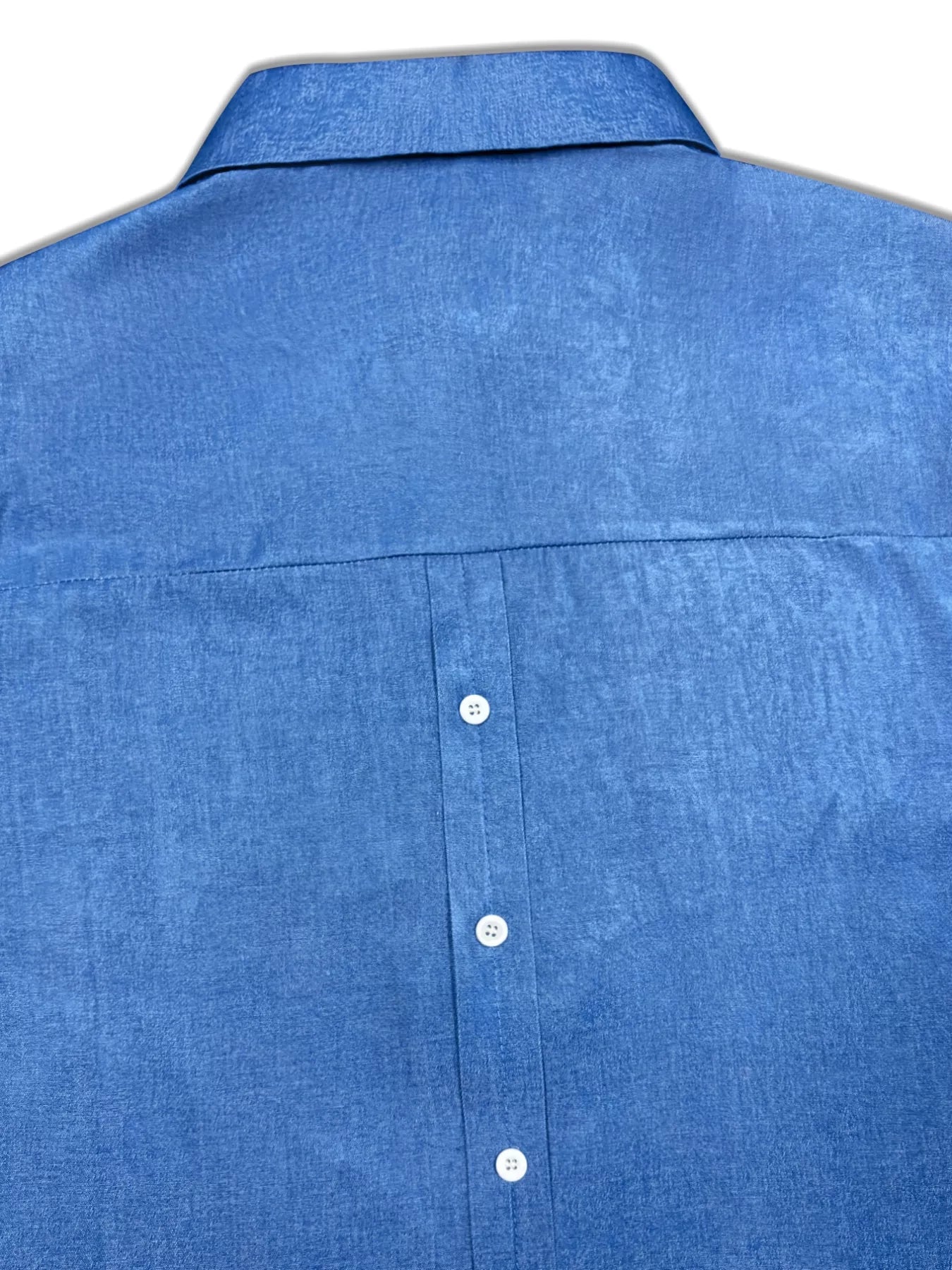 Sarah Express Women's Plus Size Collared Neck Half Button Blouse