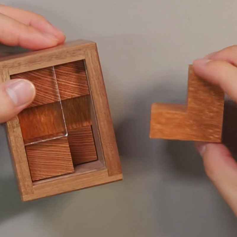 Sarah Express Einstein Lock Wooden Brain Teaser Puzzle - Premium 3D Logic Game