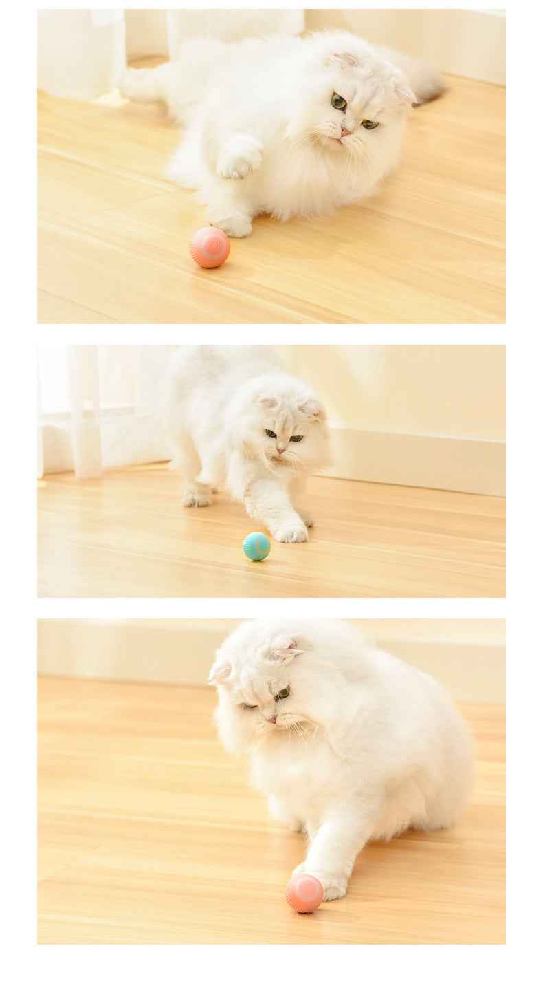 Sarah Express Smart Auto-Rolling Cat Toy Ball - Interactive Self-Rotating Pet Toy for Cats & Kittens