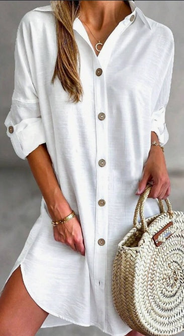 Sarah Express Button-Down Shirt Dress Long Sleeve Resort Style