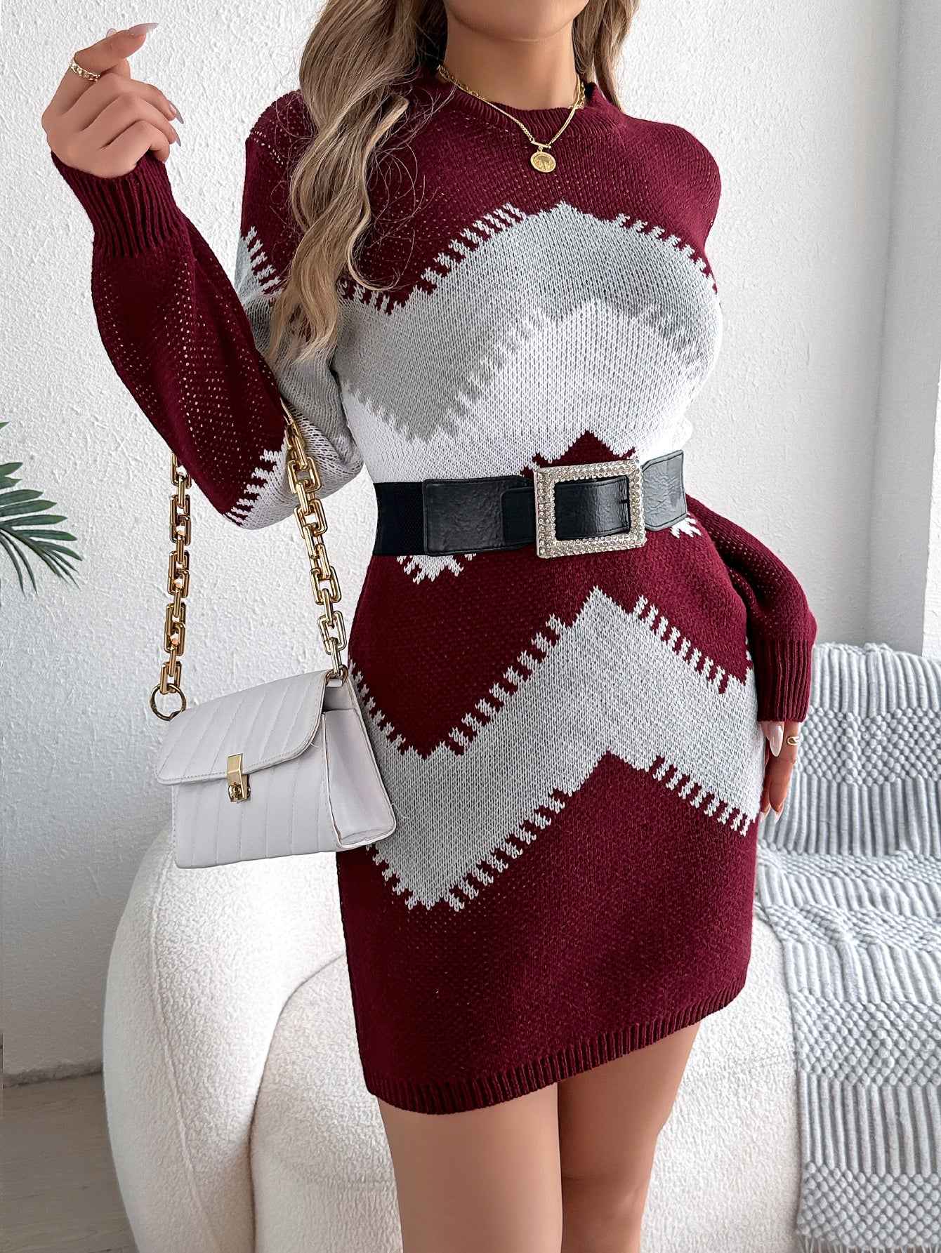 Sarah Express Women's Color Block Lantern Sleeve Sweater Dress