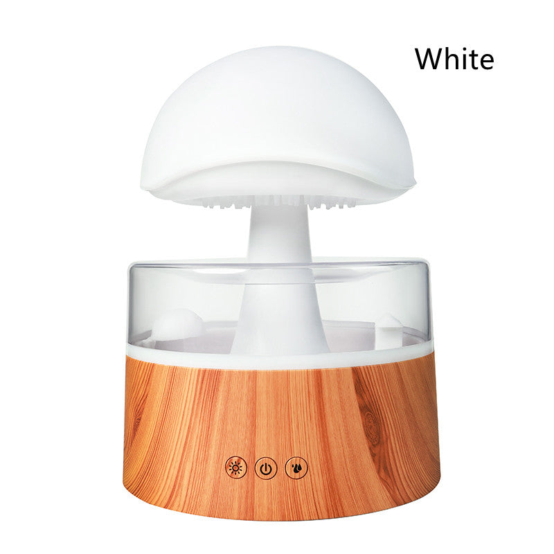 Sarah Express Rain Cloud Humidifier with Aromatherapy Diffuser & LED Night Light