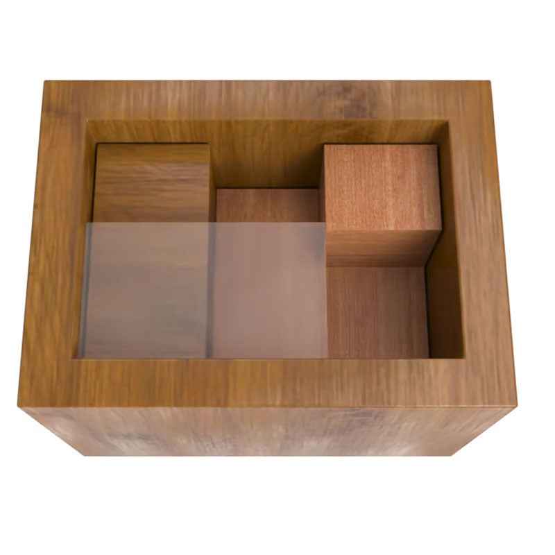 Sarah Express Einstein Lock Wooden Brain Teaser Puzzle - Premium 3D Logic Game Solid wood 4L puzzle