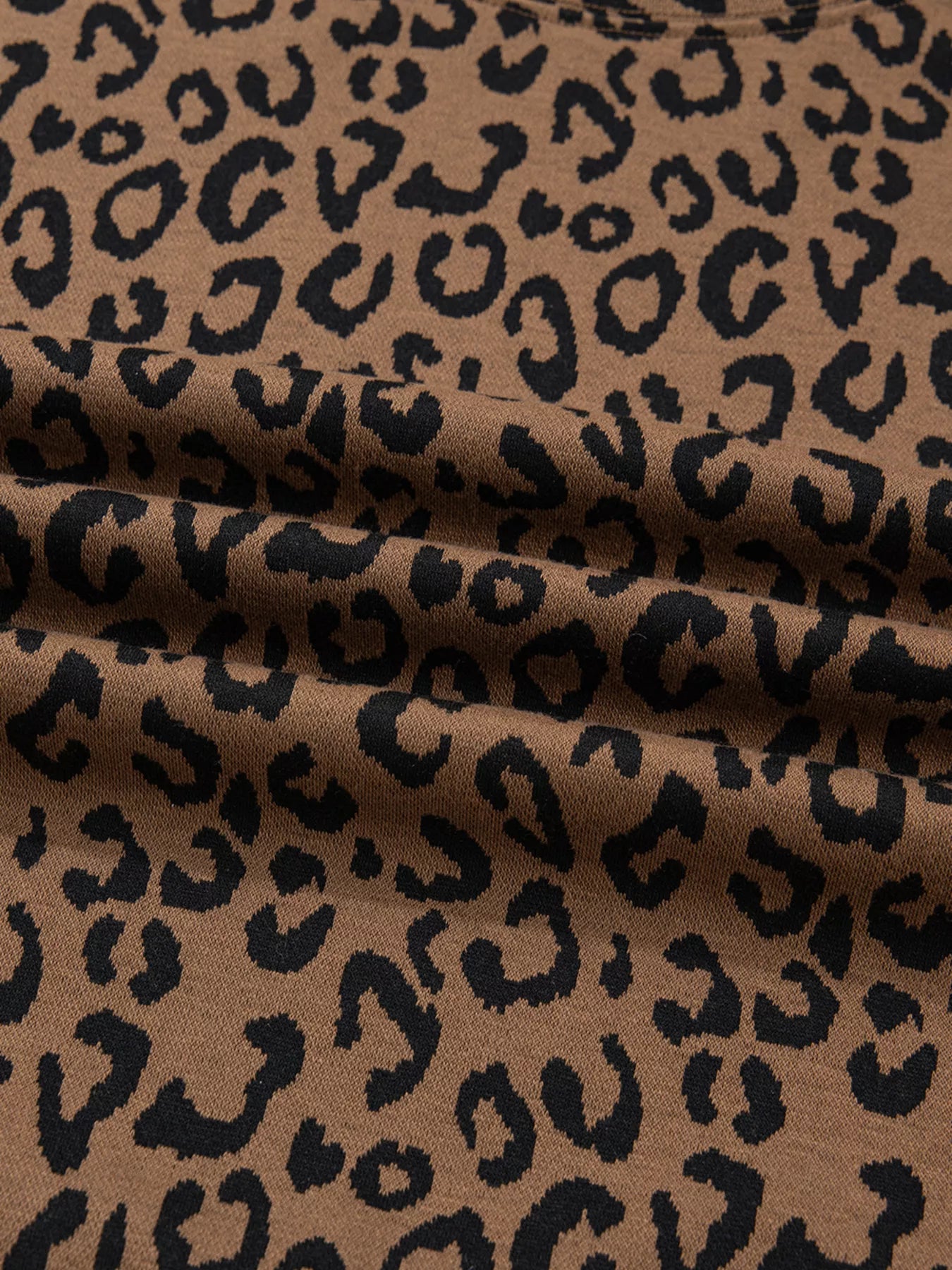 Sarah Express Women's Striped Trim Leopard Long Sleeve Top Drawstring Pant Set