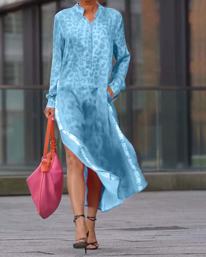 Sarah Express Women's Leopard Print V-Neck Long Sleeve Dress with Pockets Blue