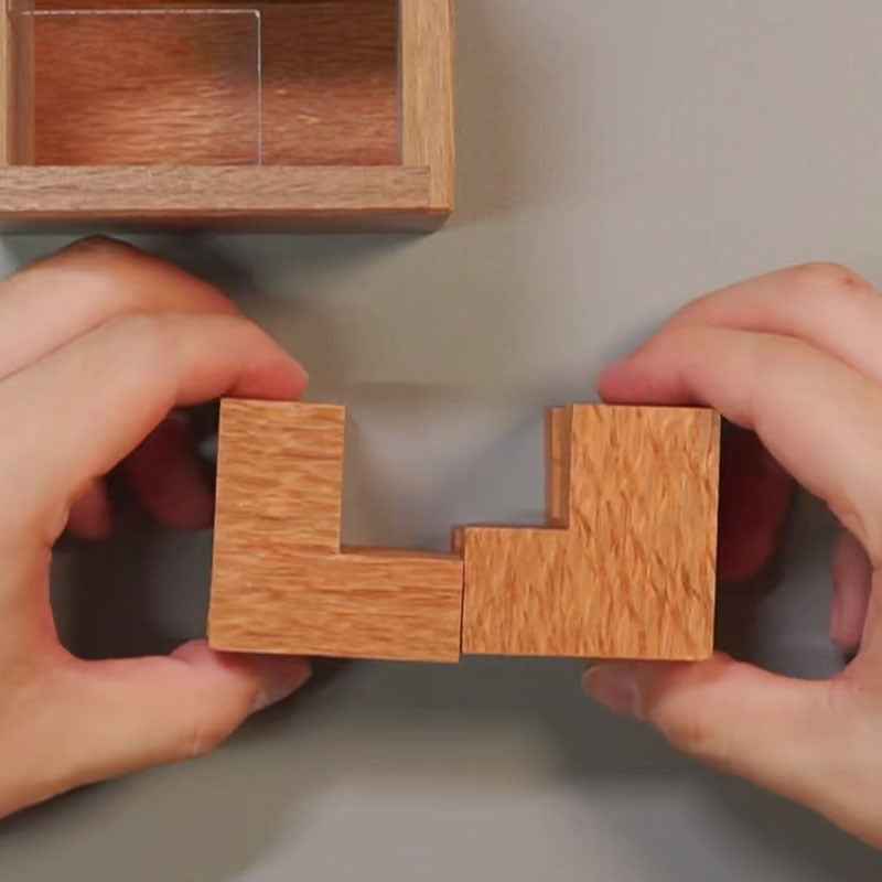 Sarah Express Einstein Lock Wooden Brain Teaser Puzzle - Premium 3D Logic Game