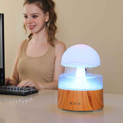 Sarah Express Rain Cloud Humidifier with Aromatherapy Diffuser & LED Night Light