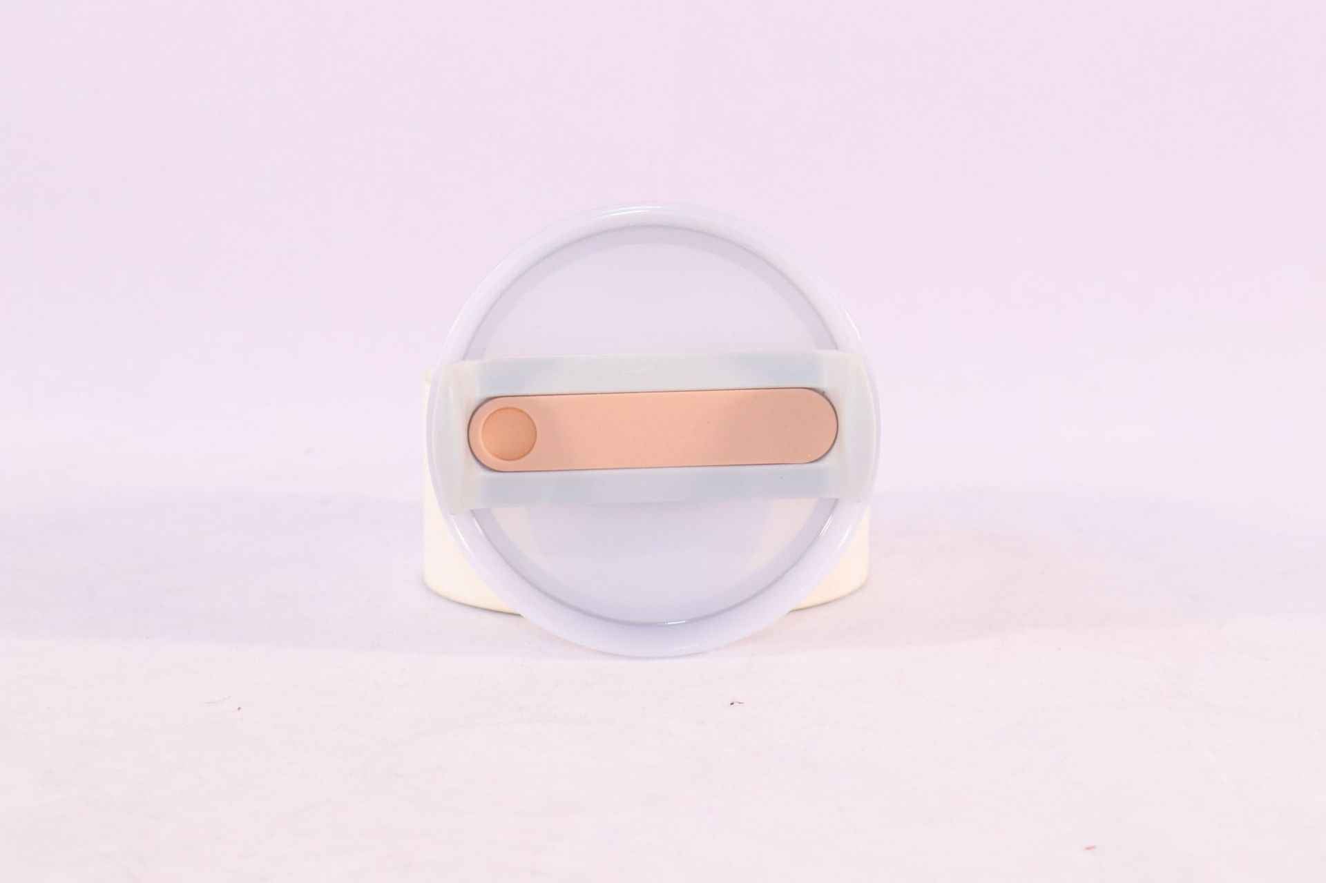 Sarah Express 40 oz Insulated Tumbler with Handle and Straw - Stainless Steel Vacuum Coffee Cup with Lid Light Pink 1200ML 1PC