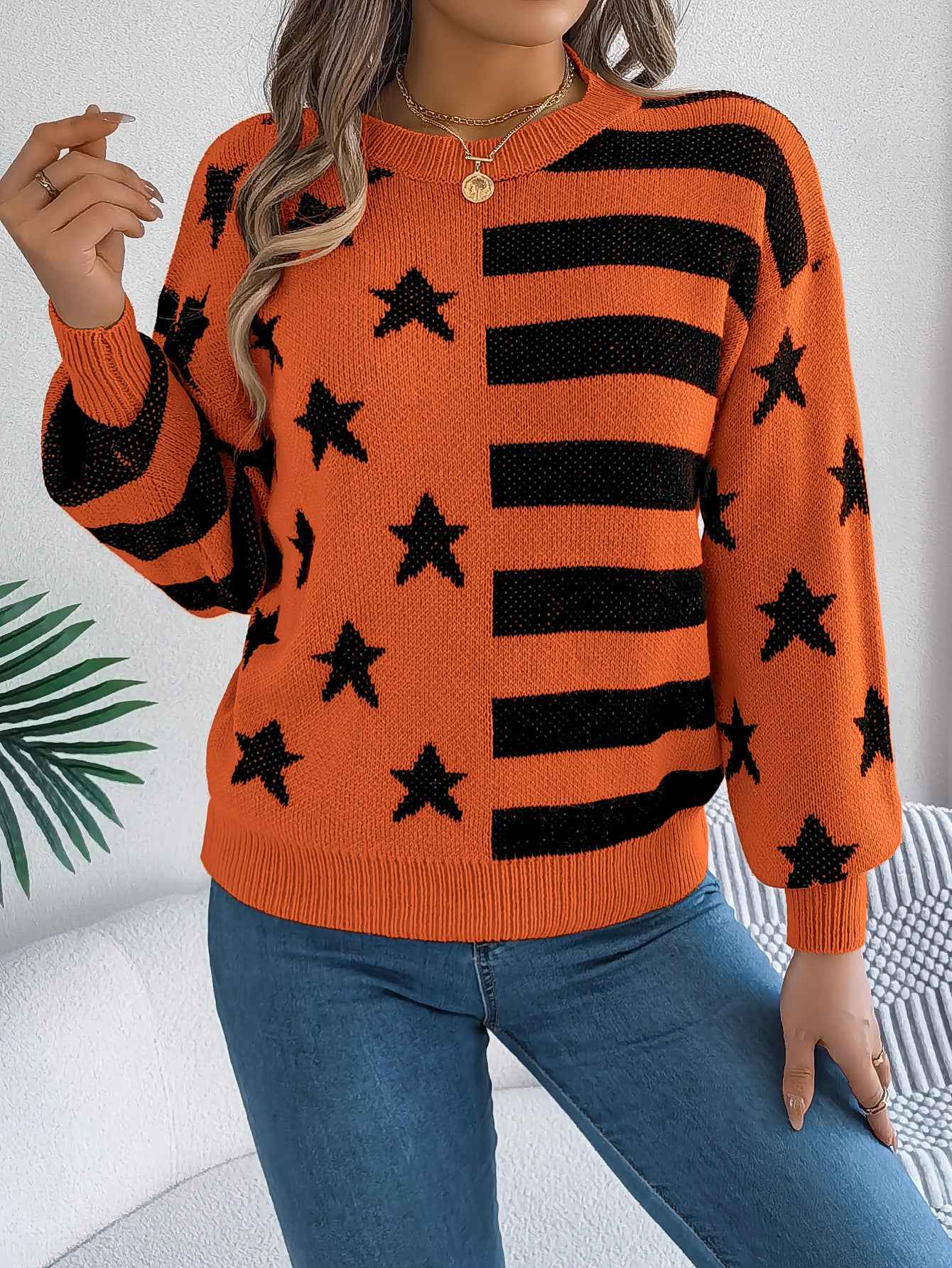 Sarah Express Women Casual Star Stripe Lantern Sleeve Long Sleeve Pullover Sweater