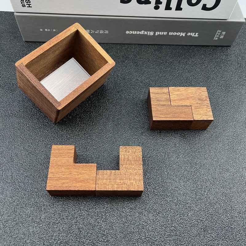 Sarah Express Einstein Lock Wooden Brain Teaser Puzzle - Premium 3D Logic Game