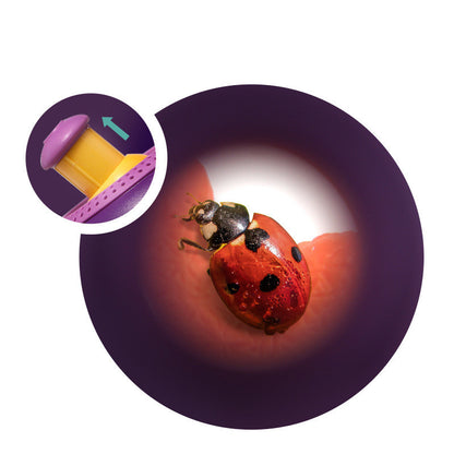 Sarah Express Kids Bug Catcher Kit - Nature Exploration Magnifying Habitat for Outdoor Learning