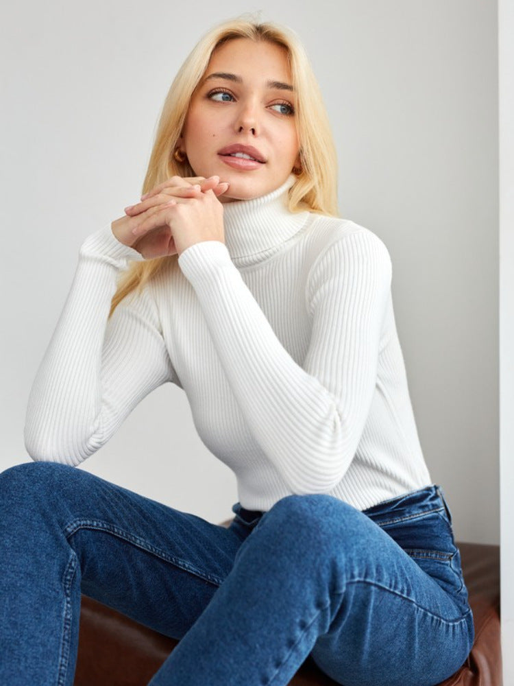 Sarah Express Women's Turtleneck Knit Pullover Sweater Long Sleeve