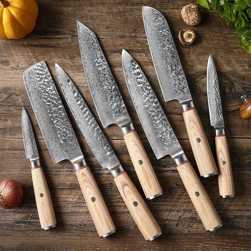 Sarah Express Professional Damascus Steel Kitchen Knife Set - Japanese Chef Knife with Layered Steel Blade