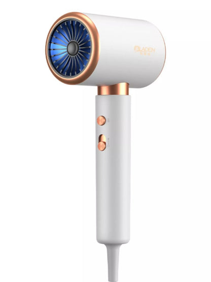 Sarah Express Professional Ionic Hair Dryer with Constant Temperature Control - 1800W Fast Drying Blow Dryer