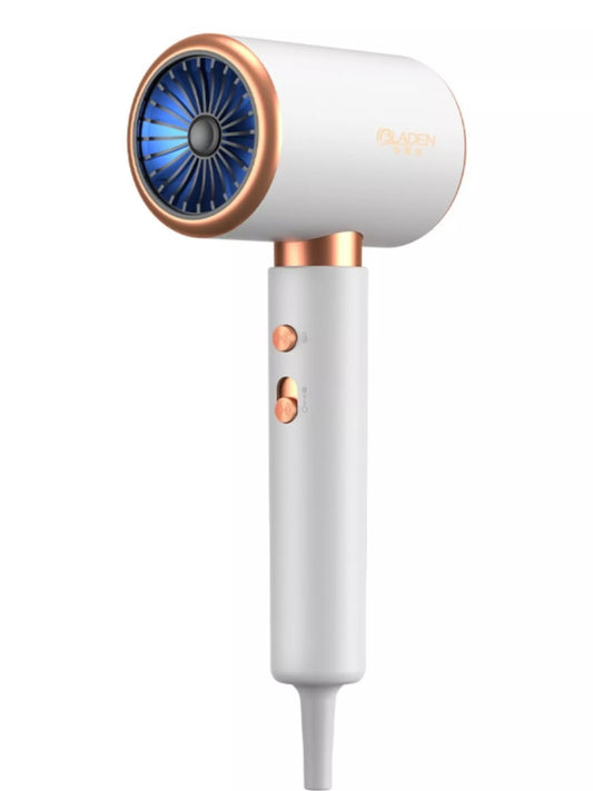 Sarah Express Professional Ionic Hair Dryer with Constant Temperature Control - 1800W Fast Drying Blow Dryer