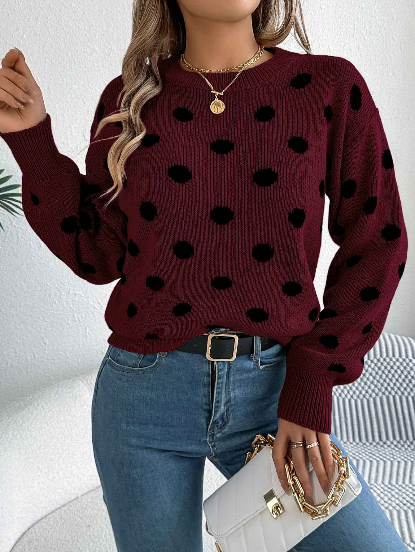Sarah Express Women's Casual Color Block Polka Dot Pullover Sweater - Long Sleeve Knit Top