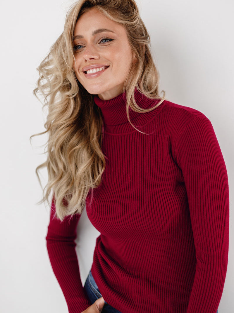 Sarah Express Women's Turtleneck Knit Pullover Sweater Long Sleeve