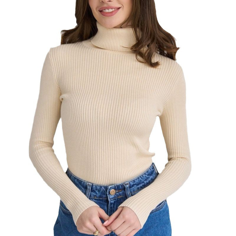 Sarah Express Women's Turtleneck Knit Pullover Sweater Long Sleeve