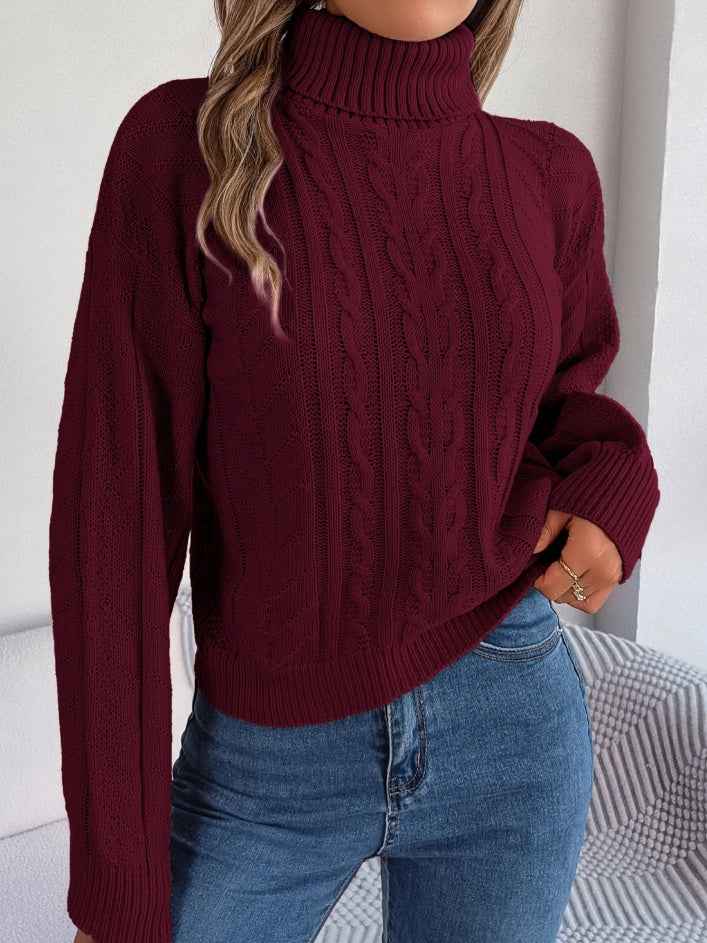 Sarah Express Women's Cable Knit Turtleneck Sweater Long Sleeve Pullover