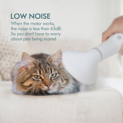 Sarah Express Pet Dog Hair Dryer Grooming Brush - 2-in-1 Blow Dryer & Slicker Brush