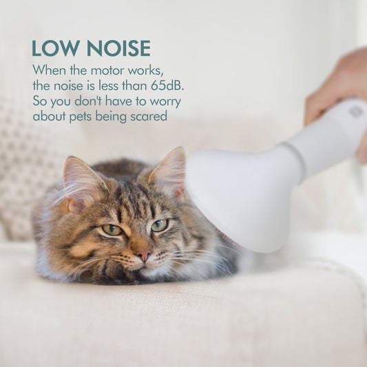 Sarah Express Pet Dog Hair Dryer Grooming Brush - 2-in-1 Blow Dryer & Slicker Brush