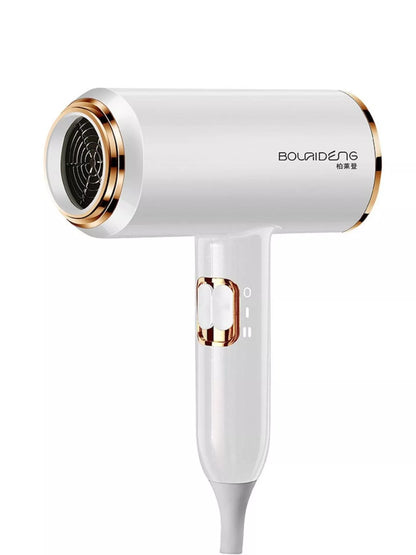 Sarah Express Negative Ion Hair Dryer with Constant Temperature Control White European plug