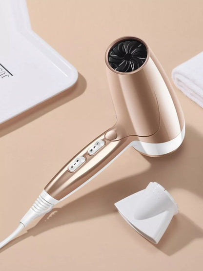 Sarah Express Professional Ionic Hair Dryer - High Power Constant Temperature Blow Dryer for Fast Drying Gold