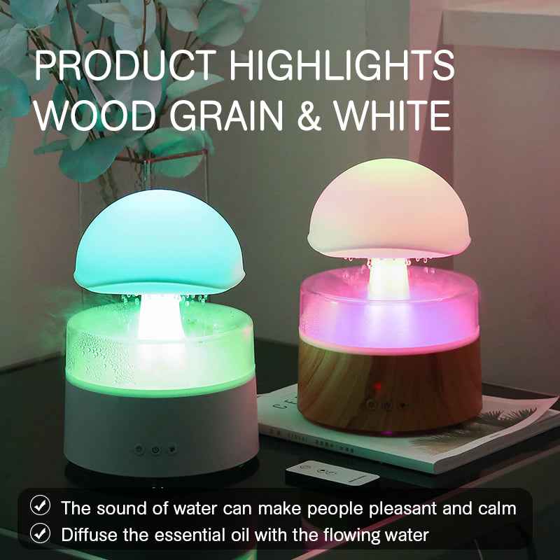 Sarah Express Rain Cloud Humidifier with Aromatherapy Diffuser & LED Night Light
