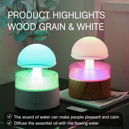 Sarah Express Rain Cloud Humidifier with Aromatherapy Diffuser & LED Night Light
