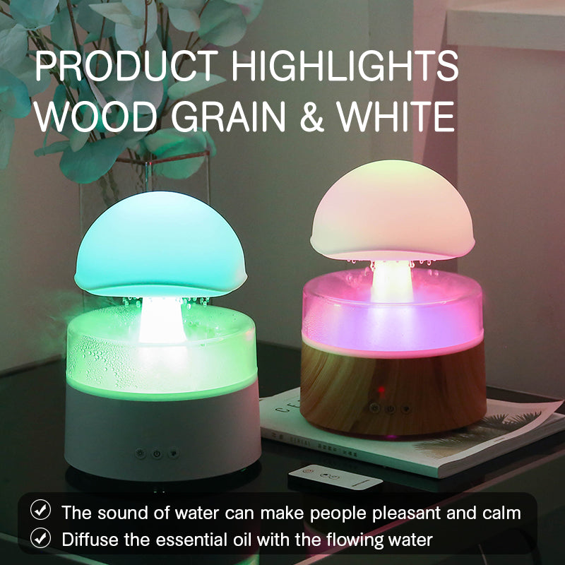 Sarah Express Rain Cloud Humidifier with Aromatherapy Diffuser & LED Night Light White USB