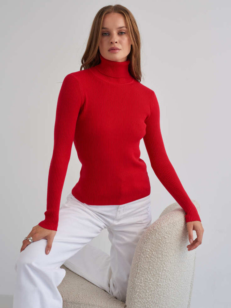 Sarah Express Women's Turtleneck Knit Pullover Sweater Long Sleeve